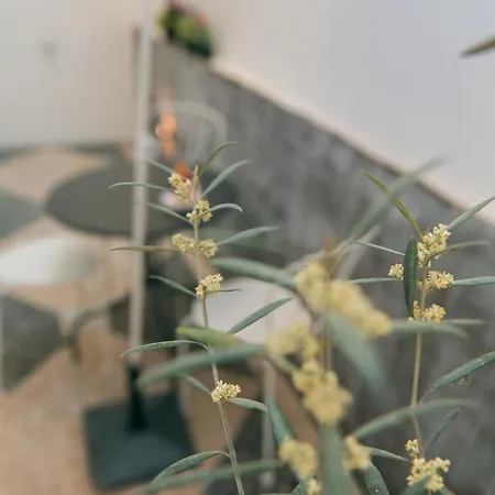 Apartmán Entre O Carmo E A Trindade