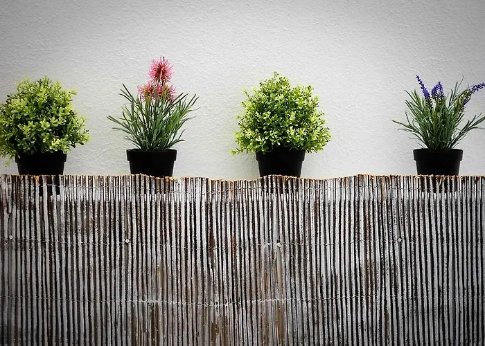 恩特雷里奥斯卡尔穆特林达德公寓 公寓 *