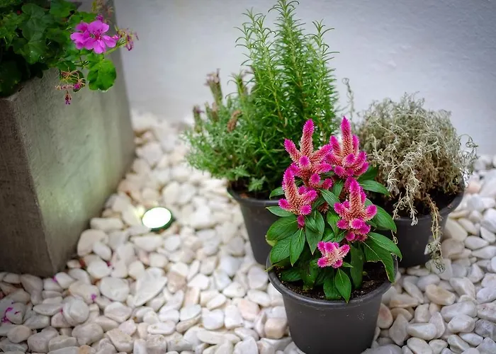 恩特雷里奥斯卡尔穆特林达德公寓 * Lisboa