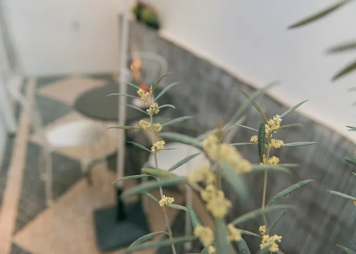 公寓 恩特雷里奥斯卡尔穆特林达德公寓